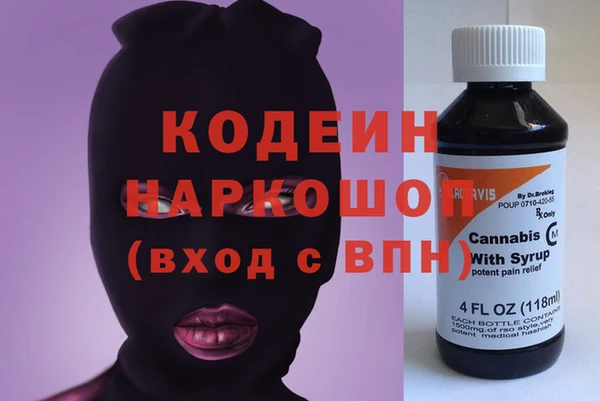 мет Алексин