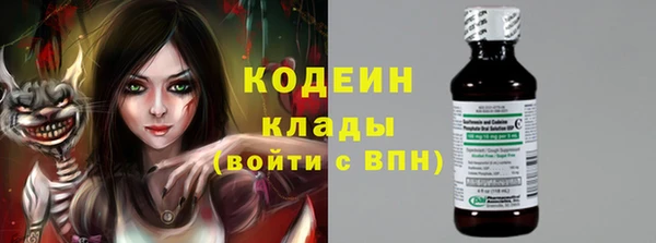 мет Алексин