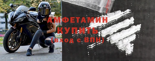 сатива Алзамай