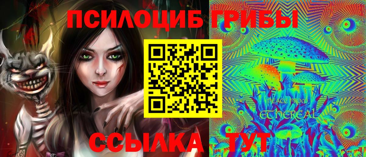 Шебекино  Галлюциногенные грибы Magic Shrooms  Вход с VPN  закладки  Галлюциногенные грибы GOLDEN TEACHER 