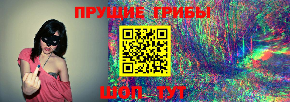 Галлюциногенные грибы GOLDEN TEACHER Шебекино